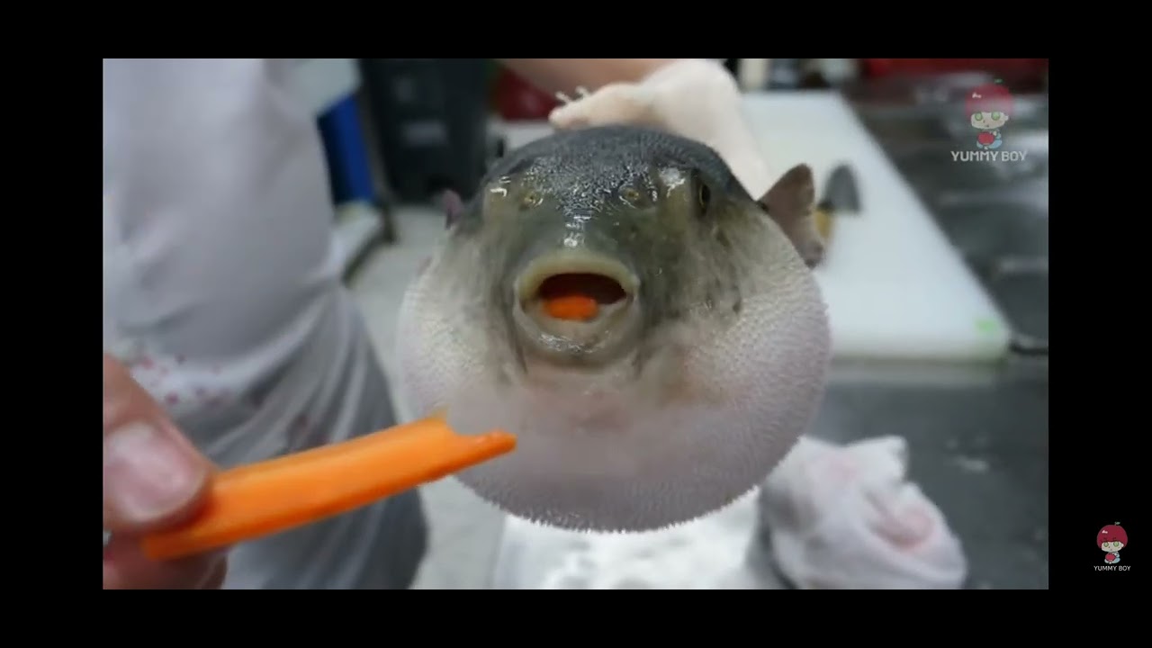 Aeugh Pufferfish Meme