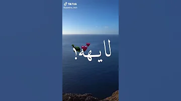 اغنيه قمر التيكتوكايه انتي يا مزمزلايا 