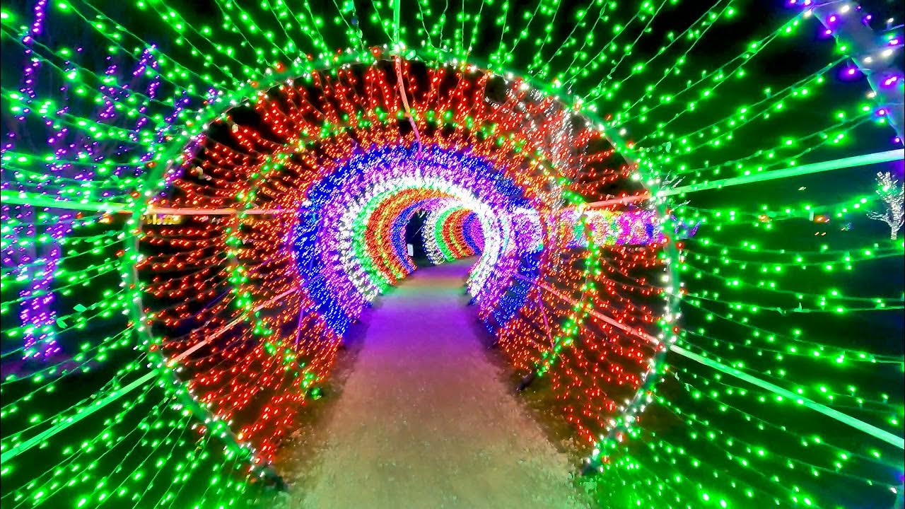 Scentsy Commons Christmas Lights 2021 YouTube