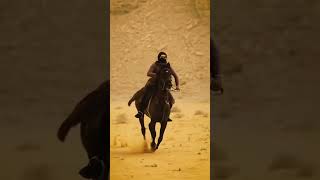 Arabic Girl With Horse