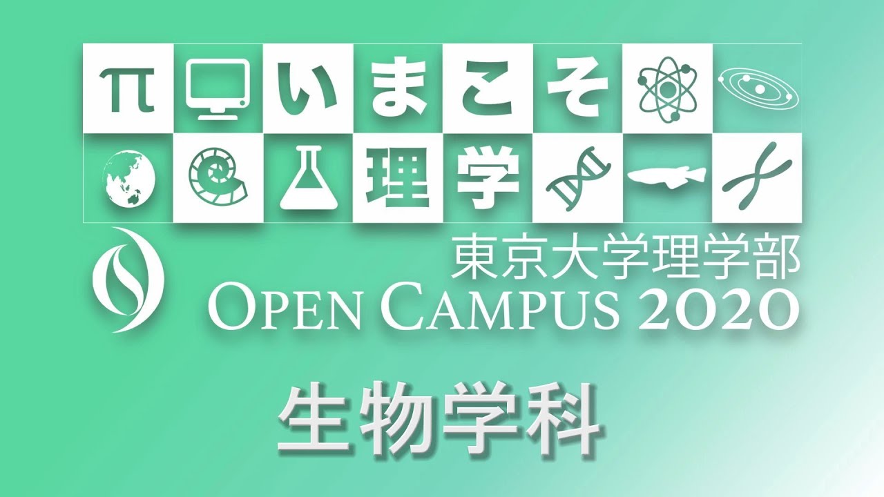 東京大学理学部オープンキャンパス2020 生物学科 学科紹介 YouTube 東京大学理学部オープンキャンパス2020 生物学科 学科紹介 YouTube