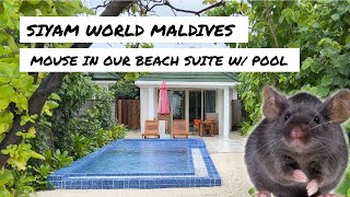 MOUSE IN OUR SIYAM WORLD ROOM! Beach Suite with Pool REVIEW
