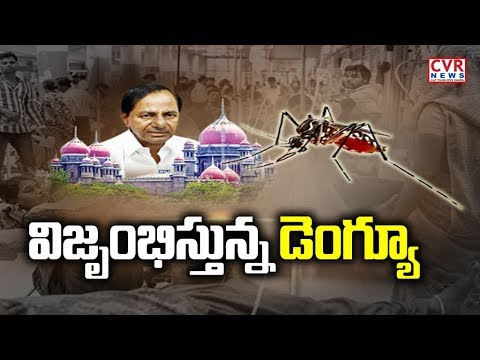 jagan news విజృంభిస్తున్న డెంగ్యూ.. | Public Opinion on Dengue Cases Rising in Hyderabad | CVR News
