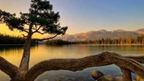 Thumbnail of come what may - LANI HALL & HERB ALPERT lyrics