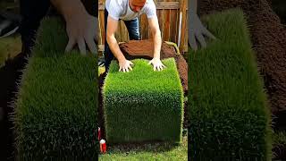 Underground Bunker Build Time-lapse in Tropical Garden 🌴 #Shorts