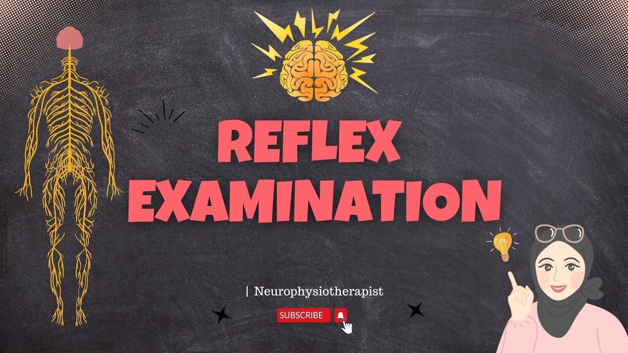 Reflex Examination