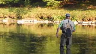 SUMMER FLY FISHING- THE RELEASE with Chris Walklet