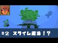 【Terraria】ずんだはスライム遊泳を試みた #2【ずんだもん】