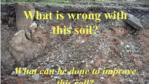Combining Soil Amendments and Varietal Development...