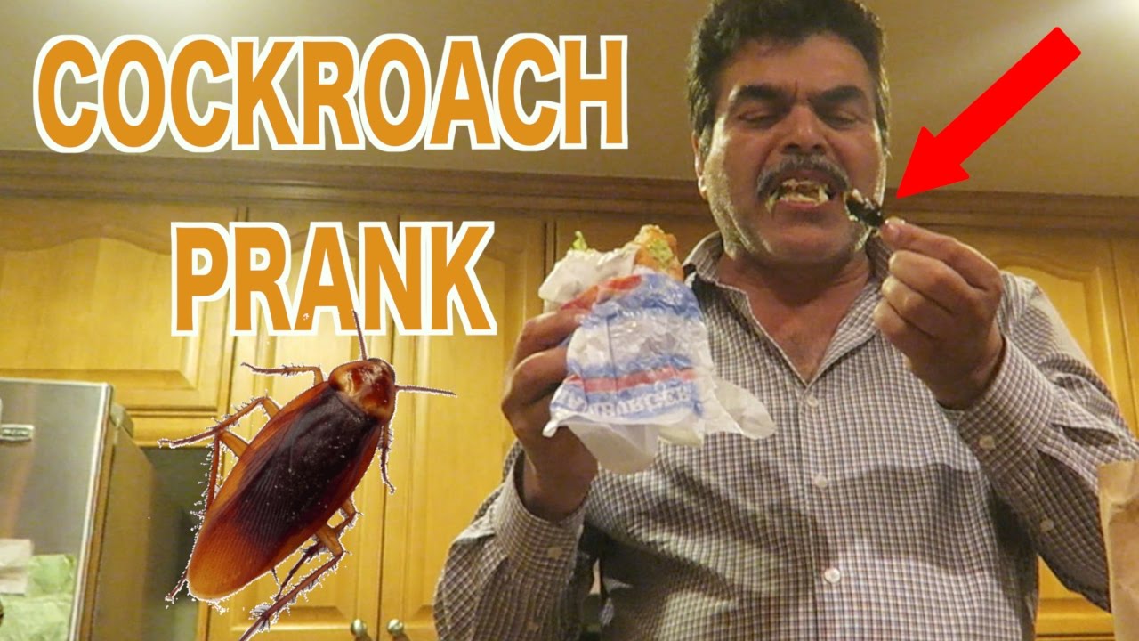 DEADLY COCKROACH IN BURGER PRANK! (Hilarious) - YouTube