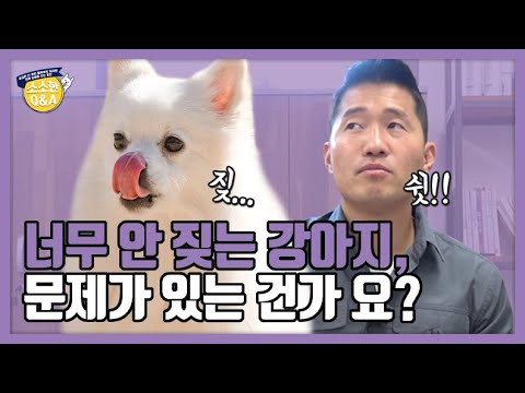 너무 안 짖는 강아지, 문제가 있는 건가요?｜강형욱의 소소한 Q&amp;amp;A