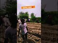 ....satluj_river💔 #reels#shorts#youtubeshorts#ytshorts#flood#punjab