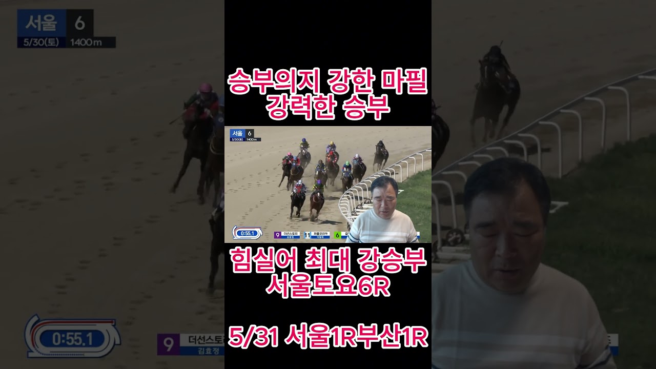 승부의지 강한 마필#경마 #경마예상 #경마방송 #예상방송#금요경마#토요경마#일요경마#경마 이효상 경마#