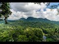 Borneo - part 4: The rainforest in Danum Valley