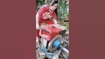 Quay máy dầu bắt cá mùa nước nổi phần 2 #xuhuong