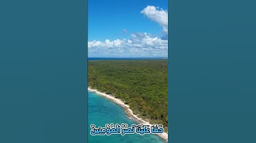 سورة الروم و؛؛كا.نك تسمعها لأ،،و.ل مر.ة 🌸💜.🌹🏵️؛💟🏵️💮بصوت الشيخ حمزة مد بوح🌺.💘.💞.💝،،💓💚؛،💔