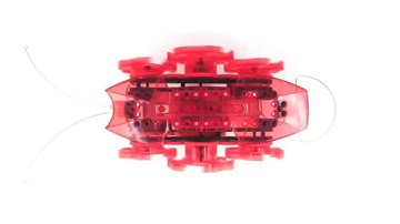 HEXBUG VEX Robotics Ant