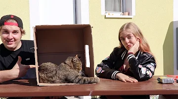 Co je barterový obchod?