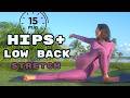 15 Min Daily Stretch Routine || Hips, Legs & Back Pain Relief