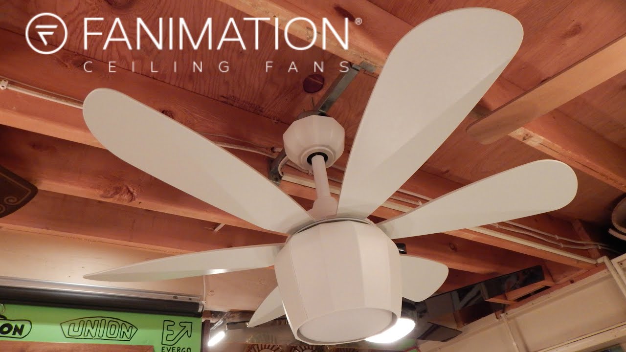 Fanimation Crease Ceiling Fan You Fanimation Crease Ceiling Fan