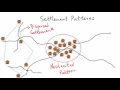 Rural Settlement Patterns and Their Geographic Influence