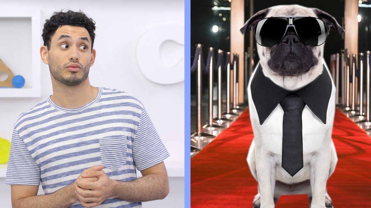 chewy joint supplement