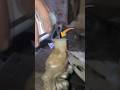 master cylinder air bleeding remove. #youtube #master #viral