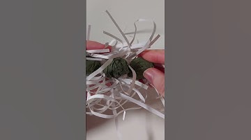 What are Lichens? #botany #lichens #gardening #biology #plants #plantscience #homeschooling #nature