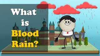 What is Blood Rain?   more videos | #aumsum #kids #science #education #children