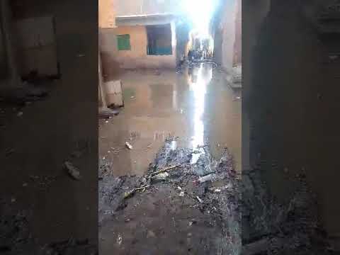 قرية البرادعه بالقناطر تغرق في الصرف الصحي
