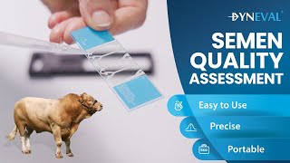 Dynescan - The New Standard for Semen Quality Assessment