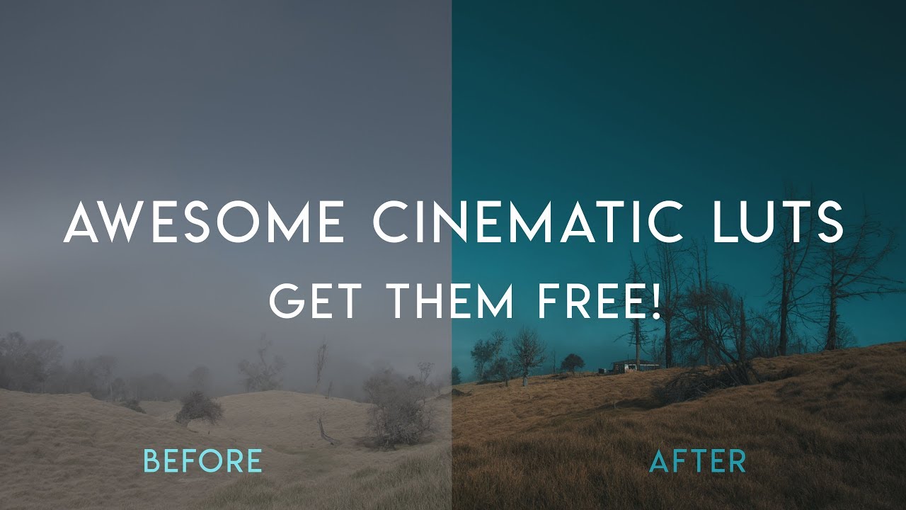 free luts download