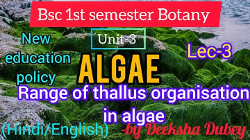 Range of thallus organisation in Algae ||Bsc1st semester botany, unit-3 ||Phycology|| #bsc#bscbotany