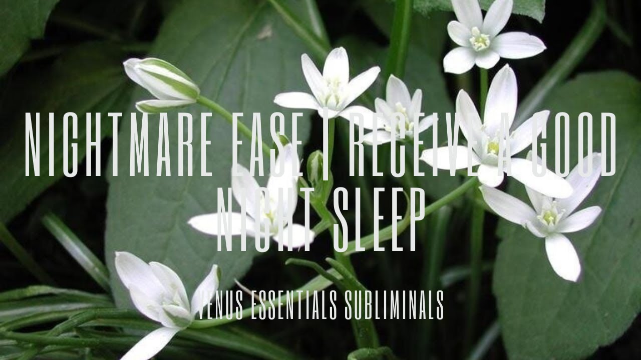 🌙 Nightmare Ease 🌙 | Receive a Good Night's Sleep Subliminal