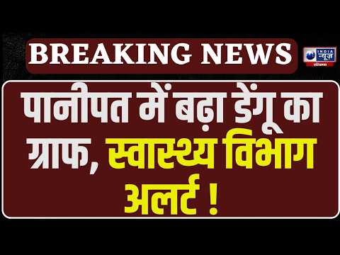 Dengue Alert: Panipat में बढ़ा डेंगू का खतरा! 20 से बढ़कर 25 हुए मरीज, Health Department अलर्ट |