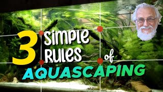 Aquascaping Made Easy. 3 Simple Rules for Beautiful Aquariums
