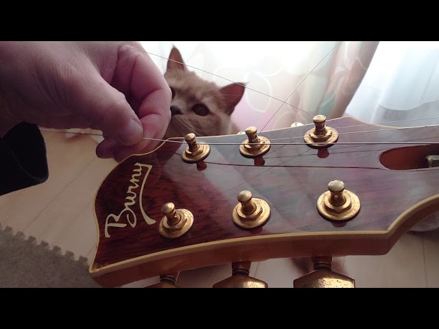 hideモッキンバード ギター初心者ガンガン弾こうぜ！講座 ギターの弦