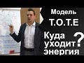 Модель ТОТЕ. Мыслительные процессы и завершенные операции. Энциклопедия НЛП