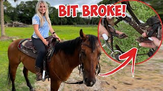 THE BIT BROKE WHILE RIDING MY HORSE! | New Saddle