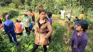 Ký sự phong tục cải táng, bốc mộ việt nam: tập 3 - cúng chuyển những mộ sang cát lần 2