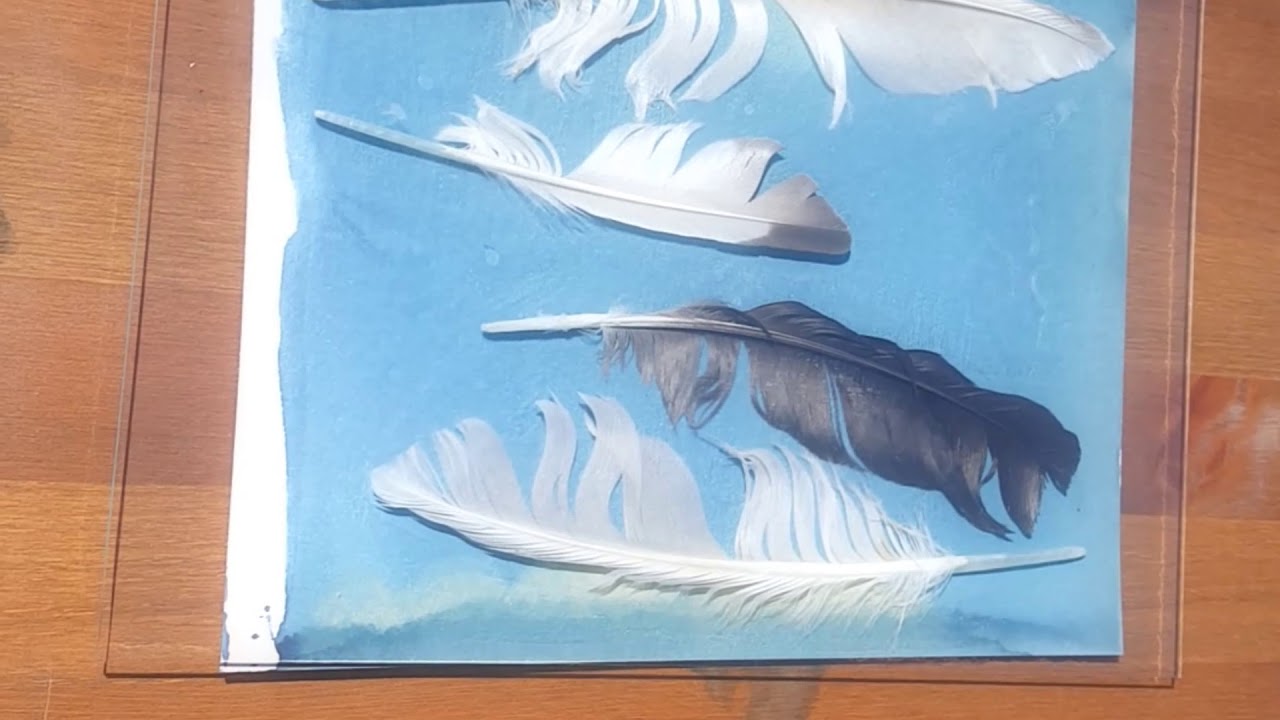 Cyanotypes - YouTube