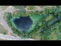 Ежегодное чудо: озеро цветущих лотосов под Волгоградом сняли с высоты