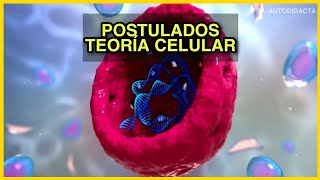 POSTULADOS de la Teoría CELULAR