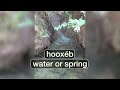 Water/Spring - hooxéb