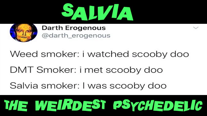 Salvia: The World's Weirdest Psychedelic | Salvia Effects Explained