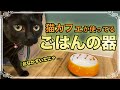 【猫のお世話】猫ちゃん達の食器を紹介します