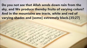 Surat Fatir - سورة فاطر Saad El Ghamidi سعد الغامدي