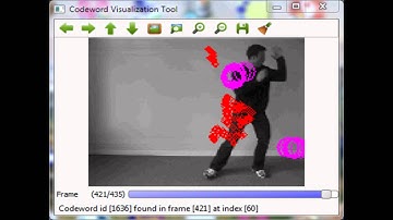A CODEWORD VISUALIZATION TOOL FOR DENSE TRAJECTORY FEATURE -  ICME2012 Demo