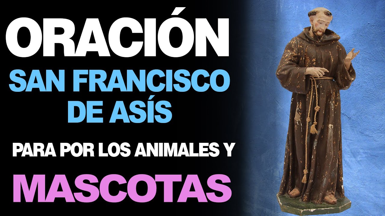 🙏 Oración a San Francisco de Asís POR LOS ANIMALES Y MASCOTAS 🐶 - YouTube