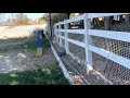 Call offs and send outs using a dog walk